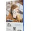 Накладка для i-Phone 16 Pro Max Keephone Aurora MagSnap черный
