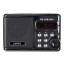 Perfeo мини-аудио Sound Ranger 2Вт/FM/AUX/USB/MicroSD/1000mAh (PF-SV922BK) черная