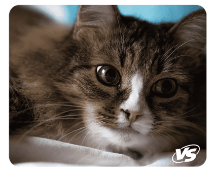 VS Коврик для компьютерной мыши "Cat", Рис.4 (180*220*2 мм), ткань+резиновое основание