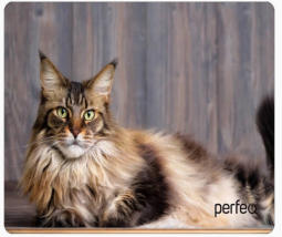 Perfeo Коврик для компьютерной мыши "Cat", Рис.5 (350*250*4 мм), ткань+резиновое основание