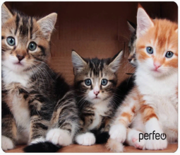 Perfeo Коврик для компьютерной мыши "Cat", Рис.6 (350*250*4 мм), ткань+резиновое основание