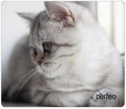 Perfeo Коврик для компьютерной мыши "Cat", Рис.9 (340*280*4 мм), ткань+резиновое основание
