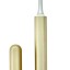 Умная ушная палочка Bebird Smart Visual Ear Pick X7 Pro золотая