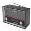 Портативный радиоприемник Ritmix RPR-102 карбон