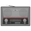 Портативный радиоприемник Ritmix RPR-102 карбон