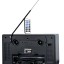 Портативный радиоприемник Ritmix RPR-102 карбон