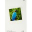Фотобумага для принтера Xiaomi Instant Photo Printer 1S (40листов+1лента)