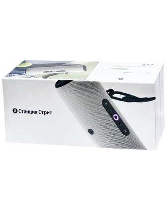 Умная колонка Яндекс Станция Стрит серая