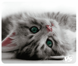 VS Коврик для компьютерной мыши "Cat", Рис.5 (194*233*3 мм), полипропилен+вспененный пластик