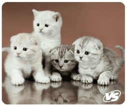 VS Коврик для компьютерной мыши "Cat", Рис.6 (194*233*3 мм), полипропилен+вспененный пластик