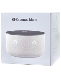 Умная колонка Яндекс Станция Мини 3 с часами серая